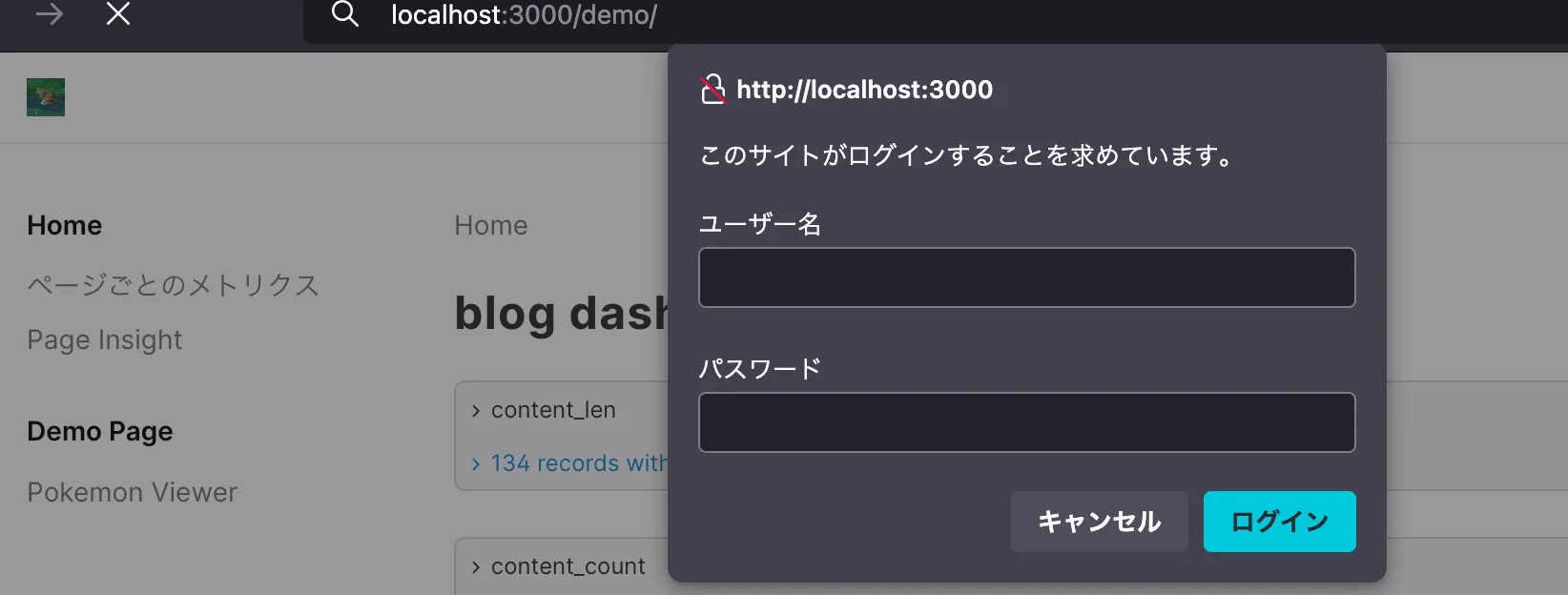 demo-page-basic-auth screen