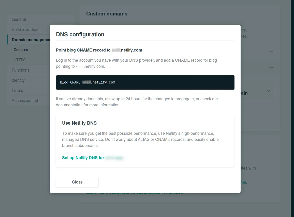 netlify check cname