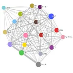 observable frameworkを使ってポケモンネットワーク分析可視化